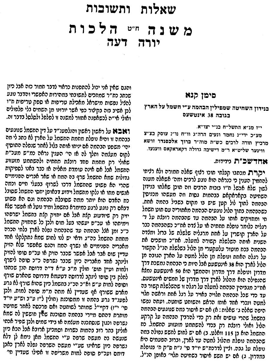 ��� ���� ����� �������� - rabbi menashe klein ungwar